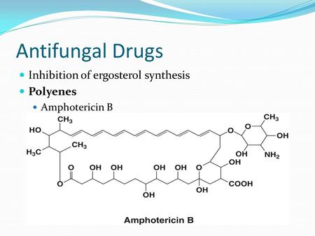 Antifungal Drugs Inhibition of ergosterol synthesis Polyenes