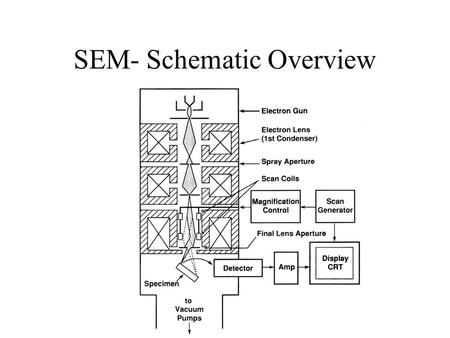 SEM- Schematic Overview. Electron Detection Tungsten Filament Electron Source.
