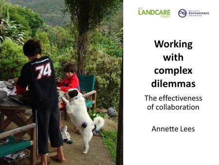 Working with complex dilemmas The effectiveness of collaboration Annette Lees.