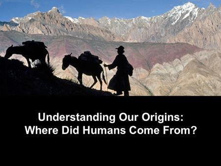 Understanding Our Origins: Where Did Humans Come From?