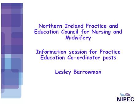 Northern Ireland Practice and Education Council for Nursing and Midwifery Information session for Practice Education Co-ordinator posts Lesley Barrowman.