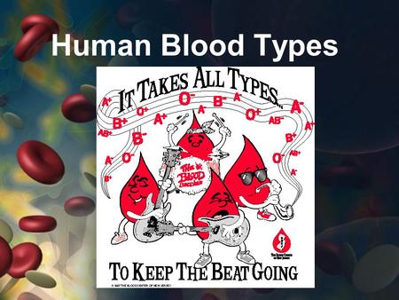 Human Blood Types. A person’s blood type is controlled by the genes they inherit from their parents. The combination of genes inherited controls what.