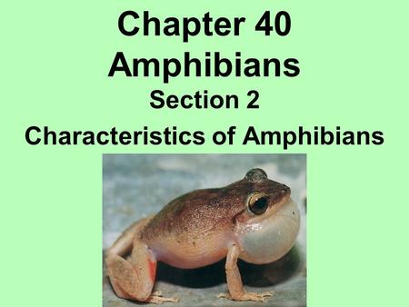 Section 2 Characteristics of Amphibians