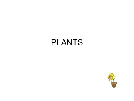 PLANTS. Plants: Grouped by characteristics Nonvascular –Simple; most grow in moist places –No vascular tissues. No way to move around water and nutrients.