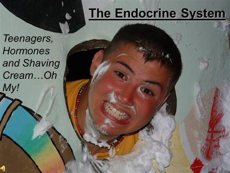 Teenagers, Hormones and Shaving Cream…Oh My! The Endocrine System.