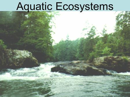 Aquatic Ecosystems. 4 things determine aquatic ecosystems: 1.Depth 2.Flow 3.Temperature 4.Chemistry.