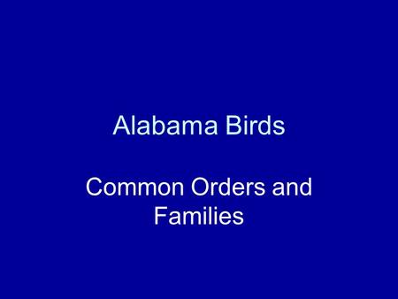 Alabama Birds Common Orders and Families. Order Gaviiformes Loons Grebes.