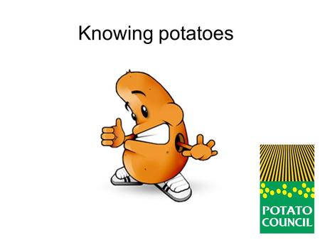 Knowing potatoes. There are lots of different varieties of potato. Can you explain how these potatoes look different from each other?