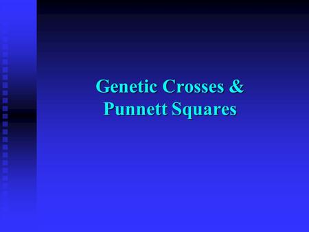 Genetic Crosses & Punnett Squares. Important Terms Dominant Trait : the trait that shows when two different alleles for the trait are inherited ex- tongue.