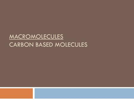 Macromolecules Carbon based molecules