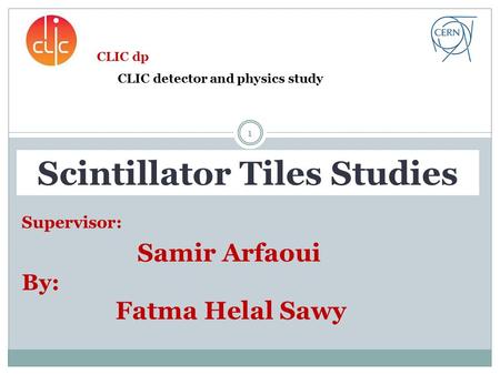 Supervisor: Samir Arfaoui By: Fatma Helal Sawy