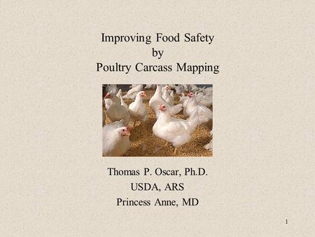 Improving Food Safety by Poultry Carcass Mapping