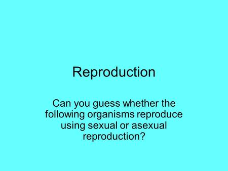 Reproduction Can you guess whether the following organisms reproduce using sexual or asexual reproduction?