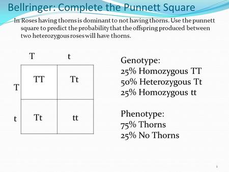Bellringer: Complete the Punnett Square In Roses having thorns is dominant to not having thorns. Use the punnett square to predict the probability that.