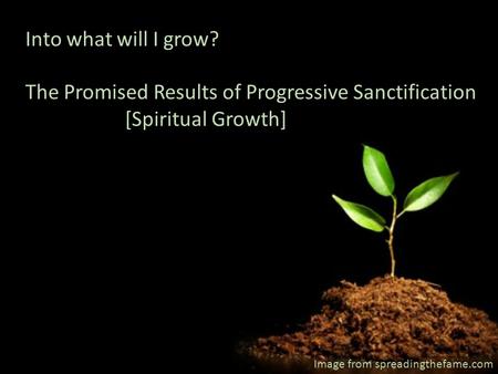 Image from spreadingthefame.com Into what will I grow? The Promised Results of Progressive Sanctification [Spiritual Growth]
