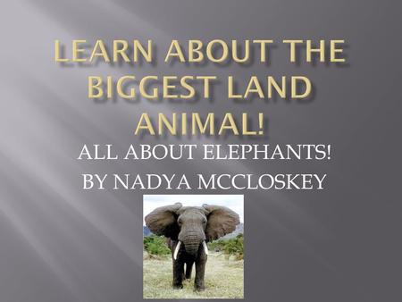 Learn About The Biggest Land Animal!