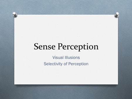 Visual Illusions Selectivity of Perception