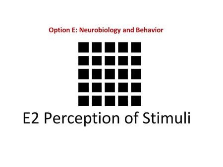 Option E: Neurobiology and Behavior. E.2.1 Outline the diversity of stimuli that can be detected by human sensory receptors, including mechanoreceptors,