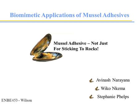 Biomimetic Applications of Mussel Adhesives