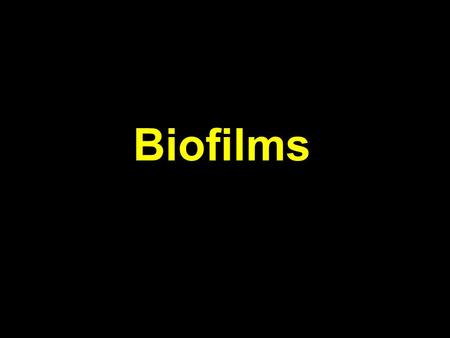 Biofilms. Dental plaque Problems associated to biofilms 1- Physical effects: ships, tubing… 2- Metal surface corrosion 3- Development on medical implants.