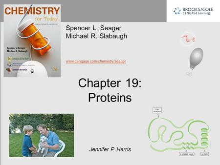 Chapter 19: Proteins Spencer L. Seager Michael R. Slabaugh www.cengage.com/chemistry/seager Jennifer P. Harris.