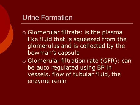 Urine Formation  Glomerular filtrate: is the plasma like fluid that is squeezed from the glomerulus and is collected by the bowman’s capsule  Glomerular.