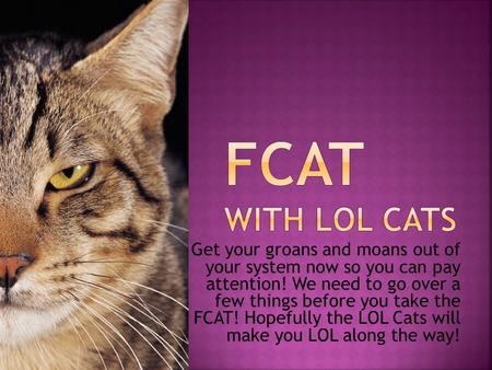 Get your groans and moans out of your system now so you can pay attention! We need to go over a few things before you take the FCAT! Hopefully the LOL.