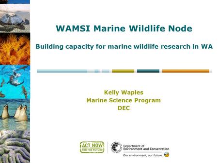Kelly Waples Marine Science Program DEC WAMSI Marine Wildlife Node Building capacity for marine wildlife research in WA.