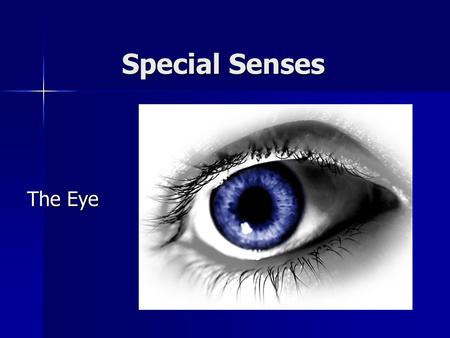 Special Senses The Eye.