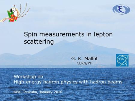 Spin measurements in lepton scattering G. K. Mallot CERN/PH Workshop on High-energy hadron physics with hadron beams KEK, Tsukuba, January 2010.