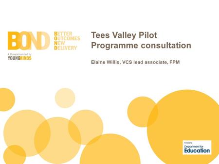 Tees Valley Pilot Programme consultation Elaine Willis, VCS lead associate, FPM.