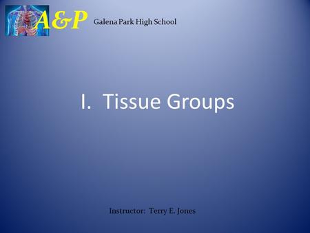 I. Tissue Groups Galena Park High School A&P Instructor: Terry E. Jones.