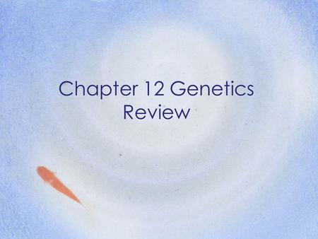 Chapter 12 Genetics Review