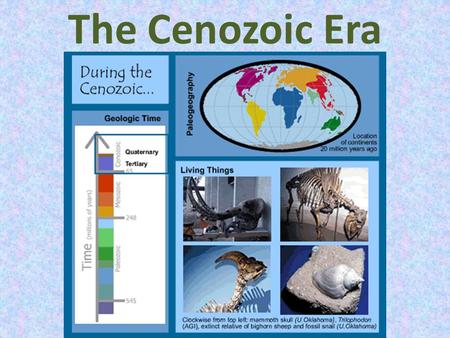 The Cenozoic Era. The Cenozoic era started 65 mya – present day We are still in the Cenozoic era “The Age of Mammals”