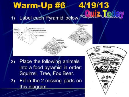 Warm-Up #6 4/19/13 1) Label each Pyramid below. 2) Place the following animals into a food pyramid in order: Squirrel, Tree, Fox Bear. 3) Fill in the 2.