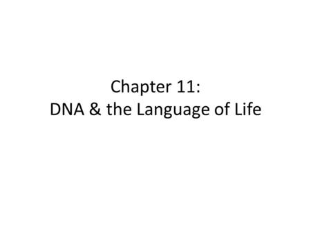 Chapter 11: DNA & the Language of Life. 11.1 – Genes are made of DNA Review: – 1928: Griffith used bacteria in mice to discover “transforming factor”