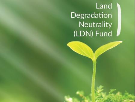 1. WHAT IS THE LDN FUND In order to achieve LDN by 2030 there is a need to mobilize large amounts of financial resources for land rehabilitation. The.