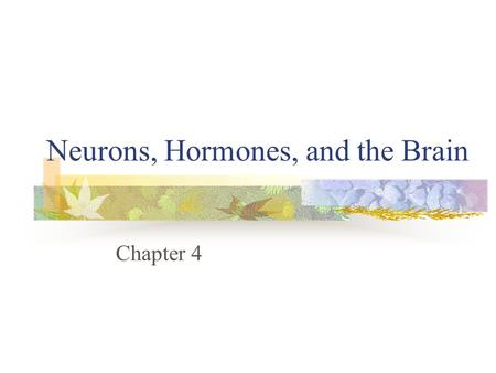 Neurons, Hormones, and the Brain Chapter 4. Neurons, Hormones, and the Brain The central nervous system The peripheral nervous system Communication in.
