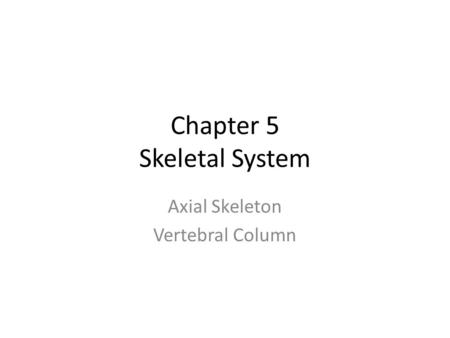 Chapter 5 Skeletal System Axial Skeleton Vertebral Column.