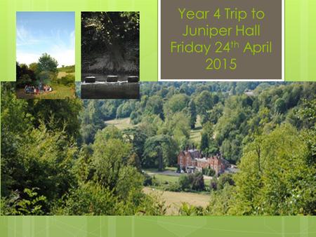 Year 4 Trip to Juniper Hall Friday 24 th April 2015.