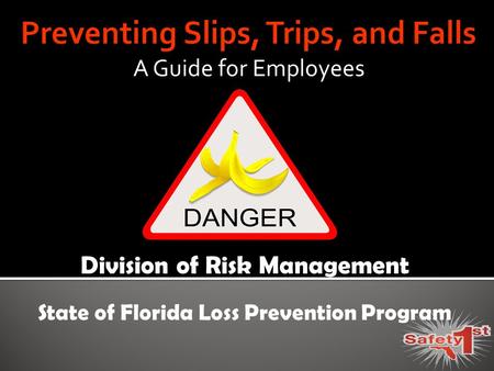 A Guide for Employees Division of Risk Management State of Florida Loss Prevention Program.