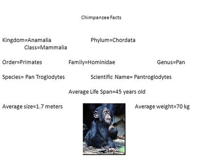 Kingdom=Anamalia Phylum=Chordata Class=Mammalia