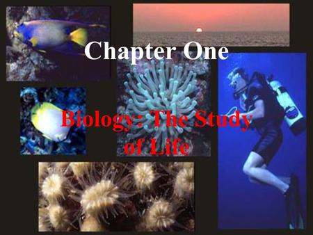 Chapter One Biology: The Study of Life. I. Biology is the study of Life.
