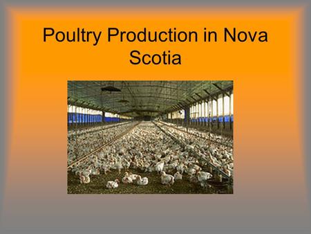 Poultry Production in Nova Scotia. Terms to Know Breaking Stock: Shelled eggs designated for breaking to produce egg products. Broiler/Fryer Chickens: