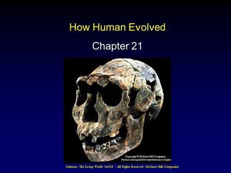 How Human Evolved Chapter 21