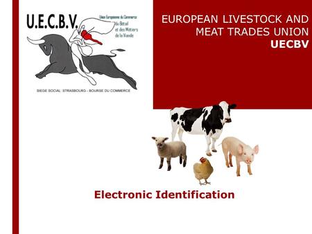 Electronic Identification EUROPEAN LIVESTOCK AND MEAT TRADES UNION UECBV.