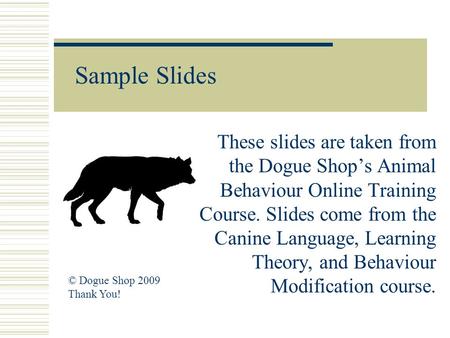 Sample Slides These slides are taken from the Dogue Shop’s Animal Behaviour Online Training Course. Slides come from the Canine Language, Learning Theory,