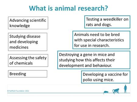 © Nuffield Foundation 2011 Advancing scientific knowledge Studying disease and developing medicines Assessing the safety of chemicals Breeding Destroying.