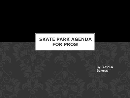 By: Yoshua Bekuray. First you should skate around and get to know the park.