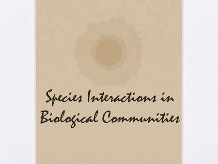 Species Interactions in Biological Communities. Community Several different species interacting in the same geographic area Types of Interactions Competition.